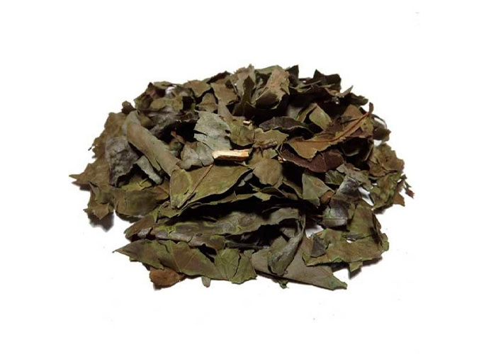 Chá Verde Nacional